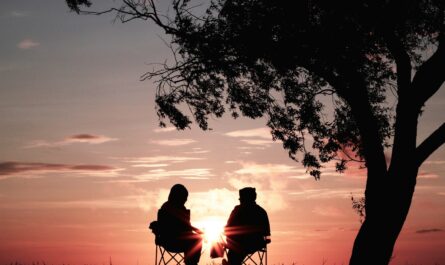 silhouette of two person sitting on chair near tree